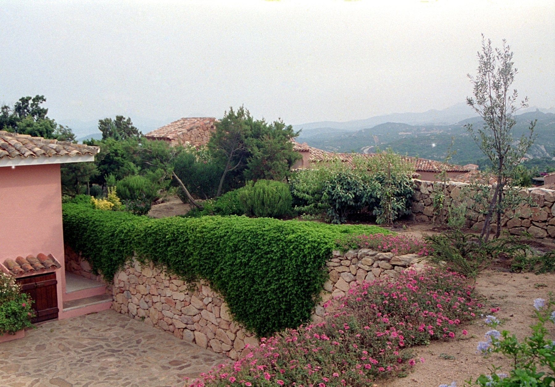 A villa garden in Sardinia
