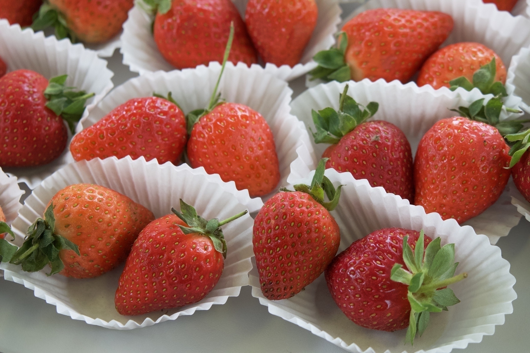 Strawberries in cupcake cases