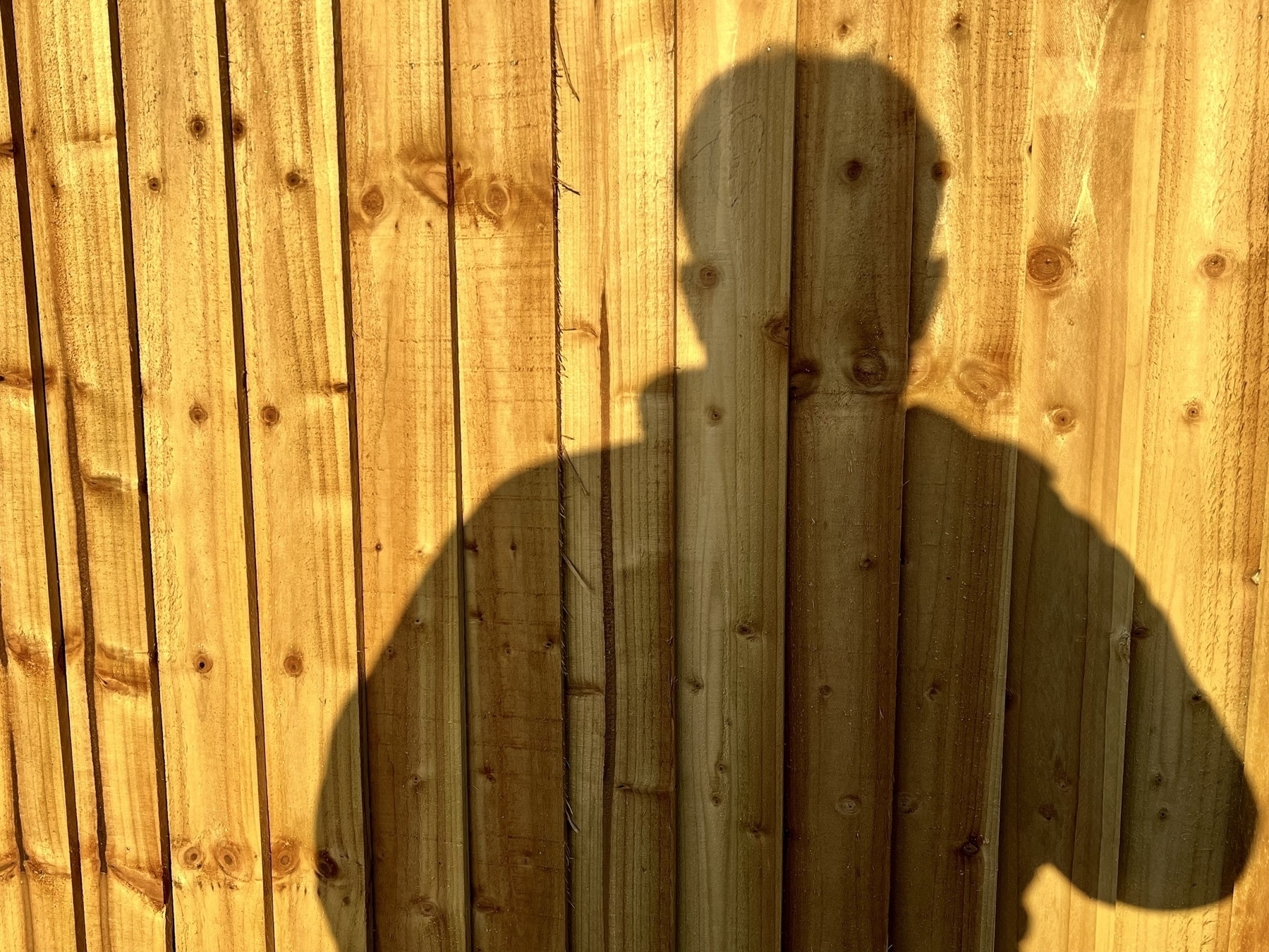 My shadow in evening sunlight on a wooden fence. 