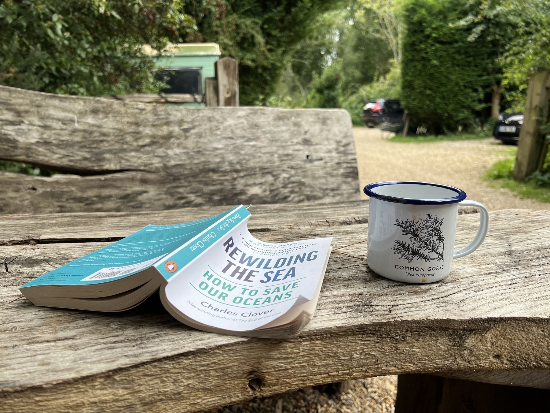 Enjoying a coffee and a book in a woodland campsite. 