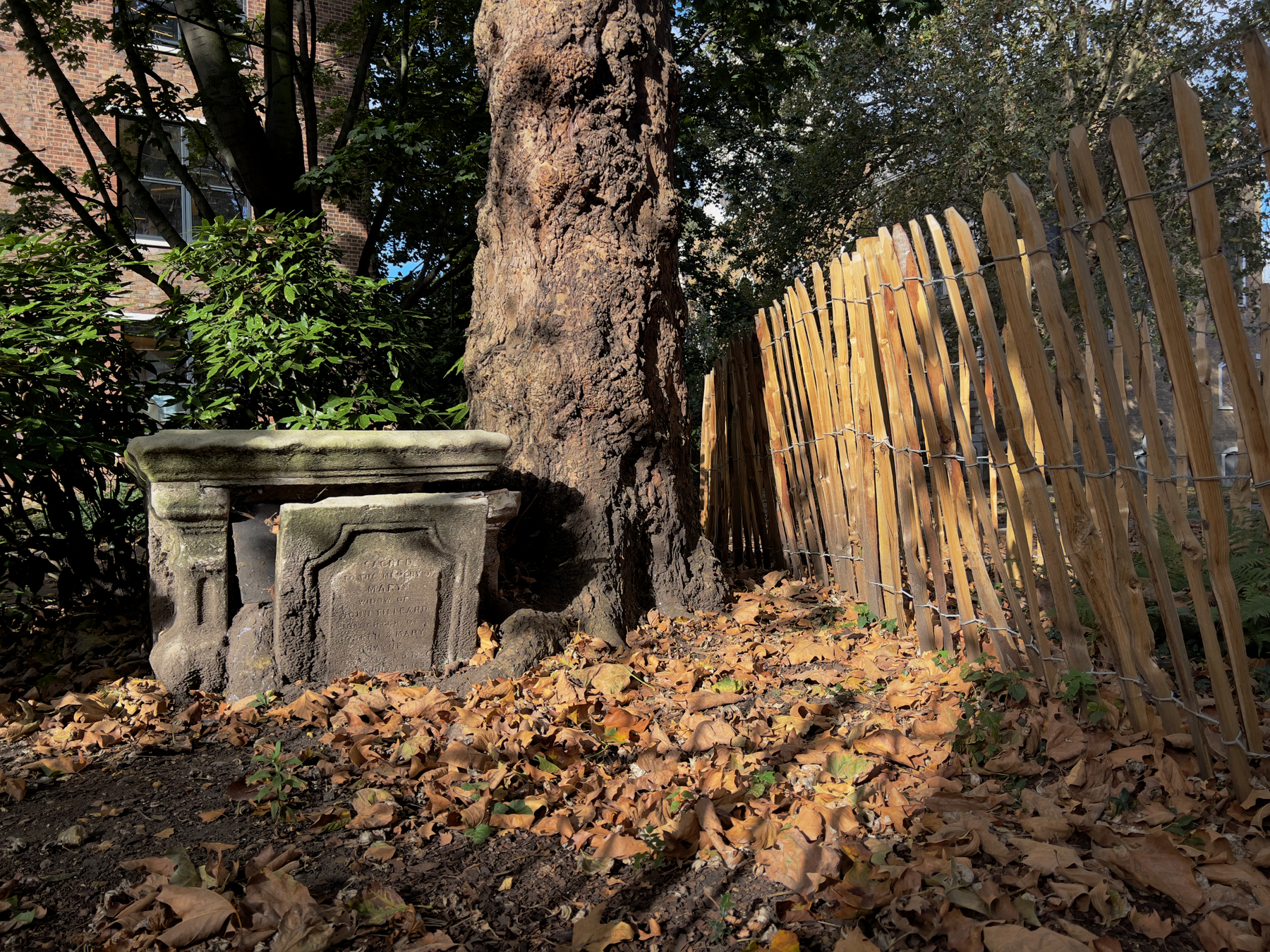 An autumnal churchyard in London’s Farringdon.
